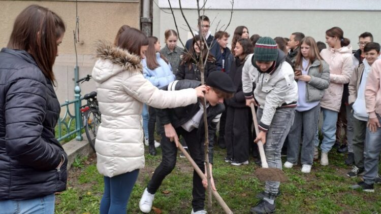 Emlékfát ültettek a Rókusi iskola nyolcadikos tanulói