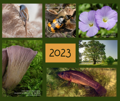 Év élőlényei 2023