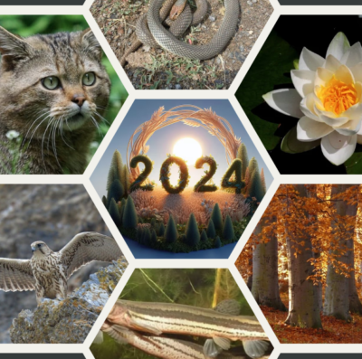 Az év élőlényei – 2024