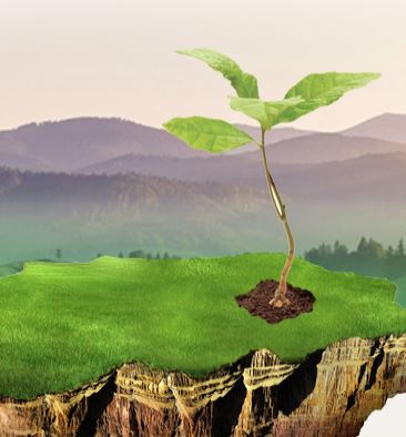 Környezetvédelmi előadások az éghajlatváltozásról és a fák szerepéről