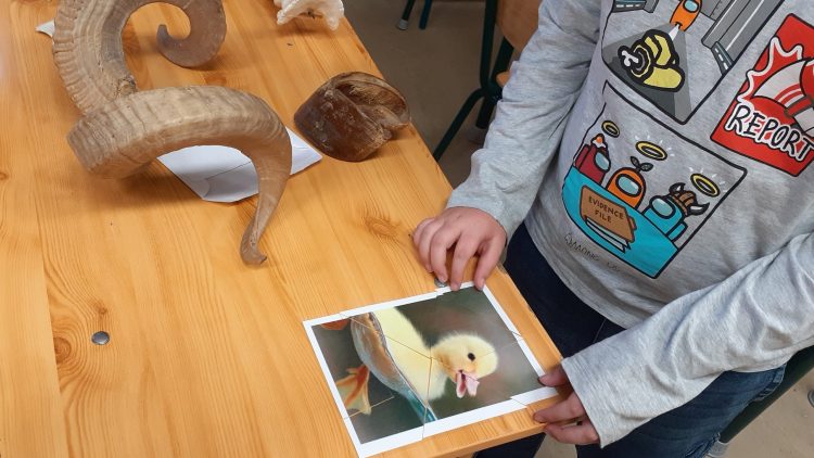 „Nyitott biológia szertár” foglalkozás az állatok világnapján