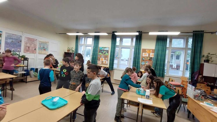Tutor program