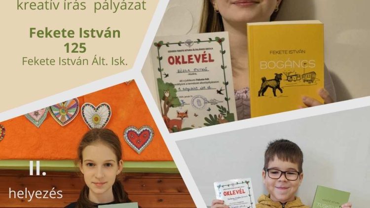 I. II. és III. helyezés a kreatív írások városi versenyén