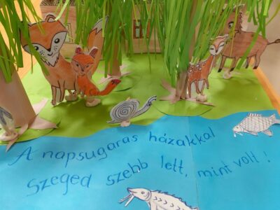 Víz világnapja a Rókusiban