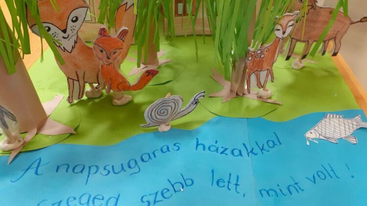Víz világnapja a Rókusiban