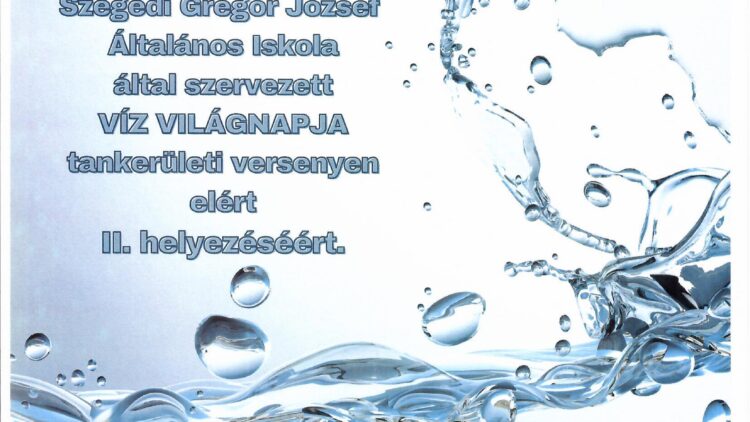 II. helyezése a Víz világnapja tankerületi versenyen
