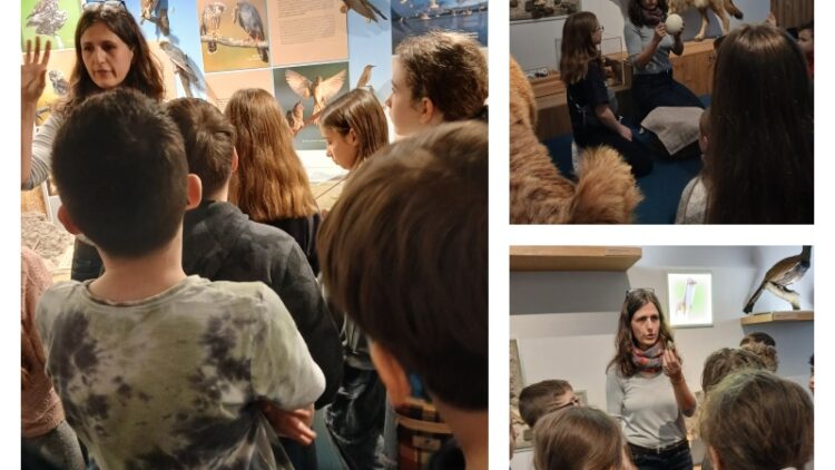 Természetismereti foglalkozás a Móra Ferenc Múzeumban