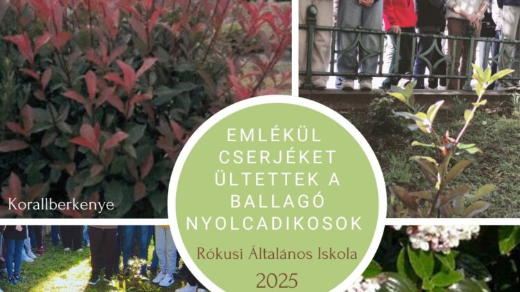 Cserjéket ültetettek emlékül