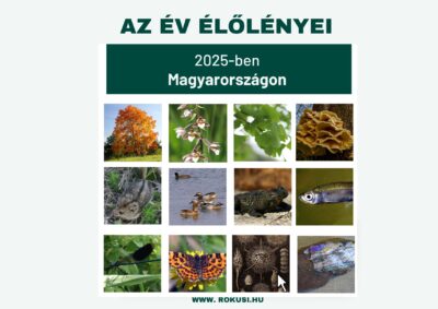 Az Év Élőlényei 2025
