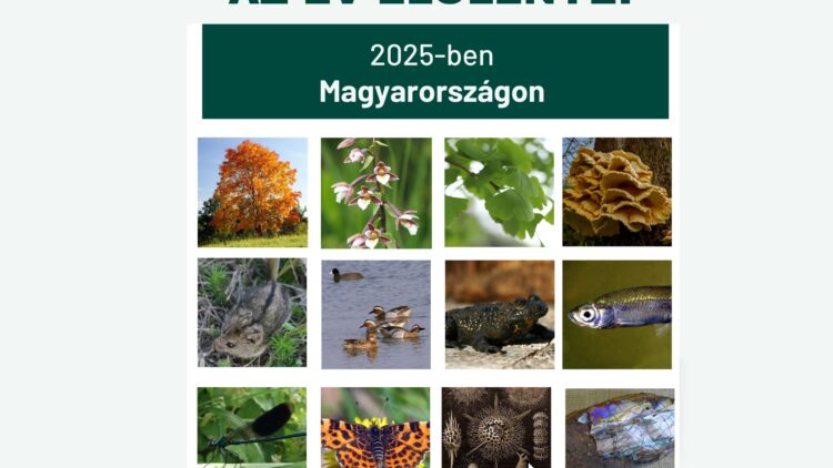 Az Év Élőlényei 2025