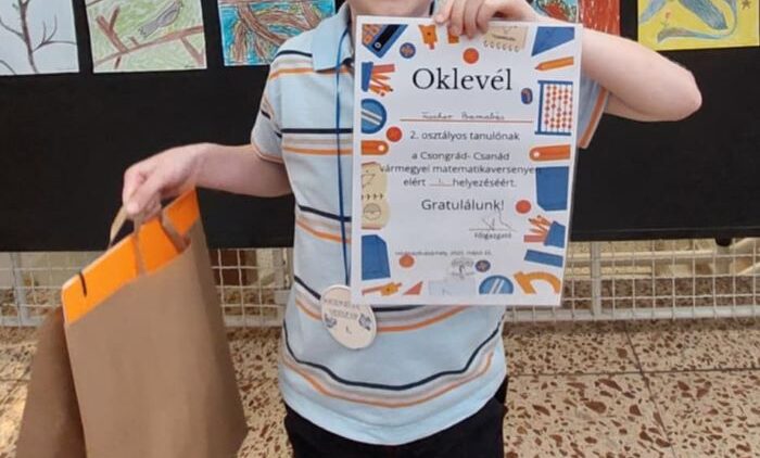 Vármegyei első helyezés matematikából