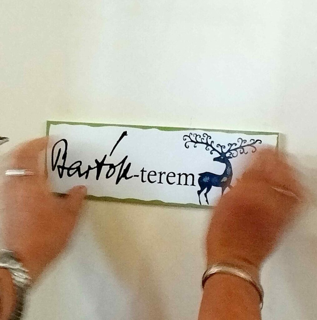 Teremavató a Rókusiban