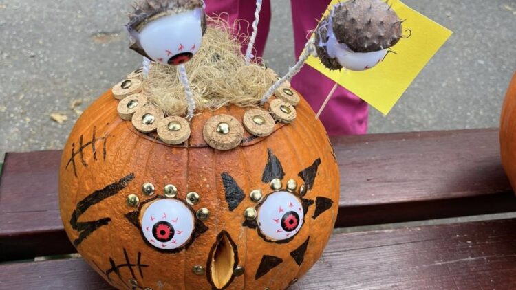 SZÜRET HETE A NAPKÖZIBEN: 2025. okt. 13-17.