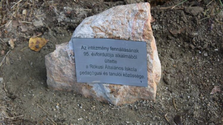 Iskolazöldítés, faültetés a Rókusi fennállásának 95. évfordulójára