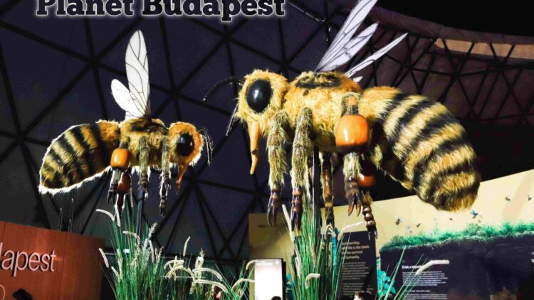 Planet Budapest 2026. Fenntarthatóság. Kiállítás. Élmény.