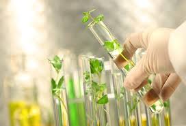 Szécsi Szilveszter Tehetségkutató Biológia Verseny eredmény